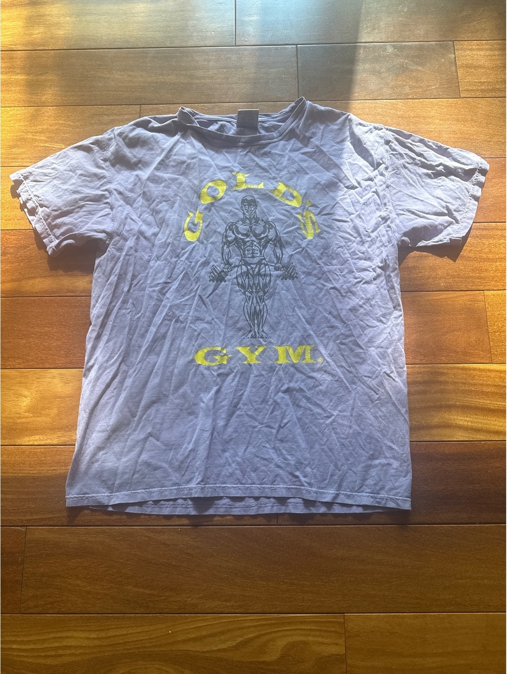 90s Vintage Golds Gym Tee
